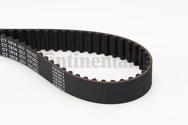 Timing Belt